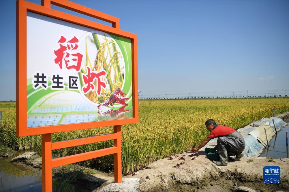 大宝娱乐游戏官方
